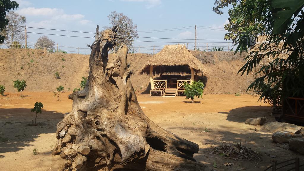 Doo-Dao-Doi Farm & Stay Chiang Dao Ngoại thất bức ảnh