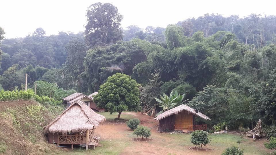 Doo-Dao-Doi Farm & Stay Chiang Dao Ngoại thất bức ảnh