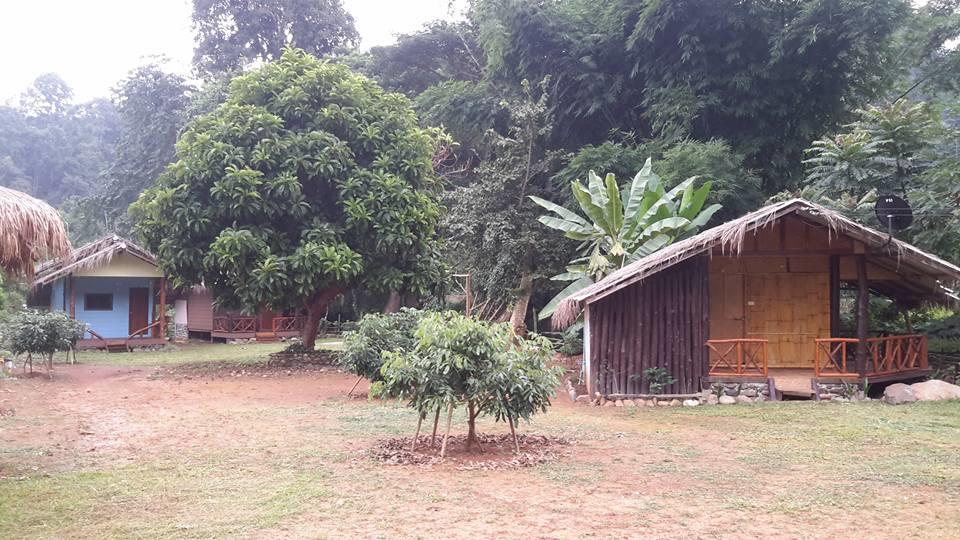 Doo-Dao-Doi Farm & Stay Chiang Dao Ngoại thất bức ảnh