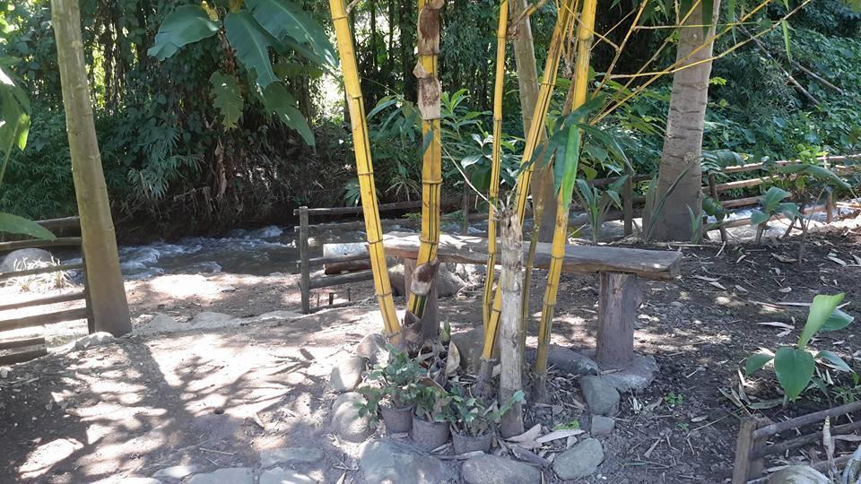 Doo-Dao-Doi Farm & Stay Chiang Dao Ngoại thất bức ảnh